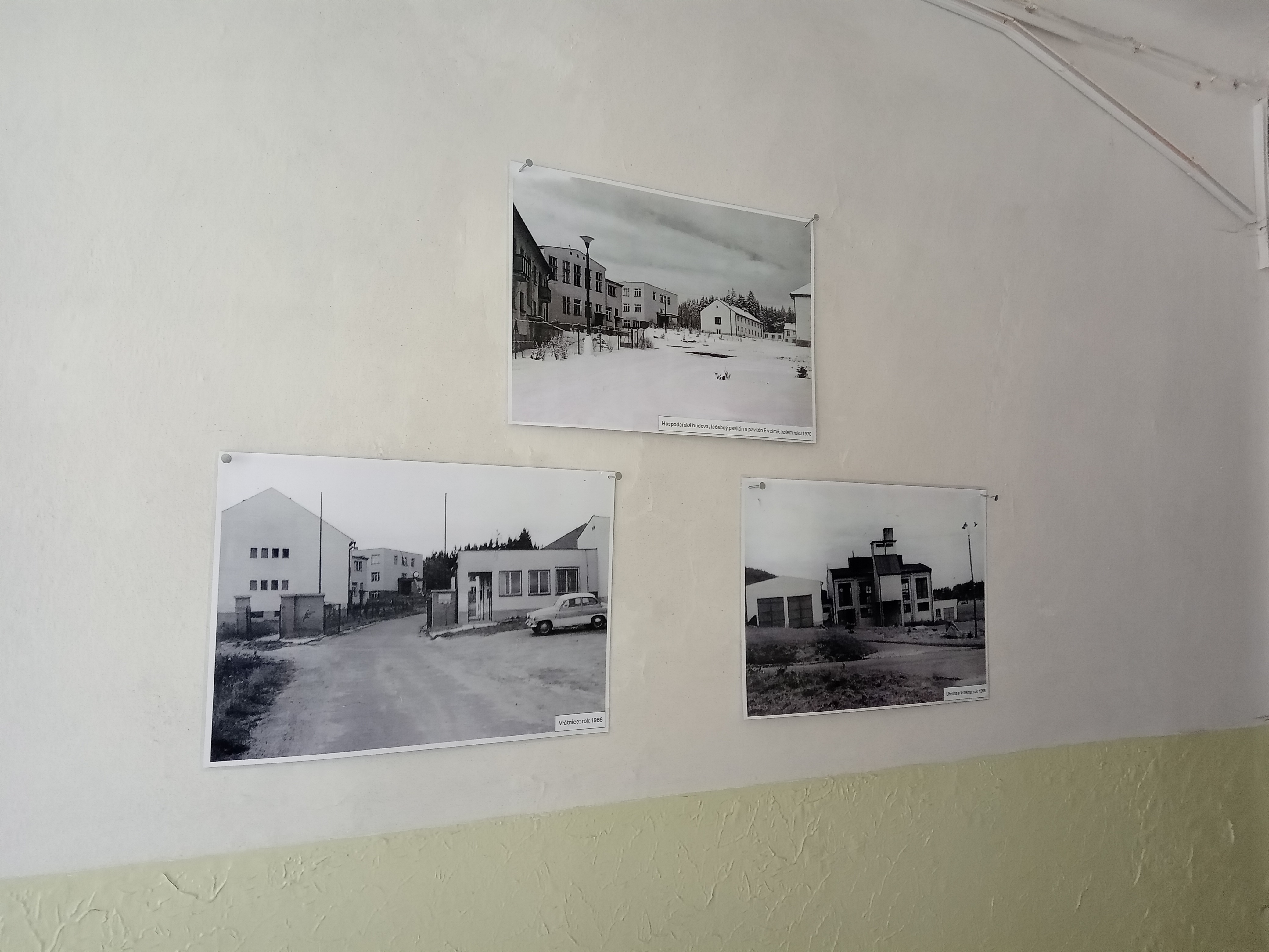 výstava (19)