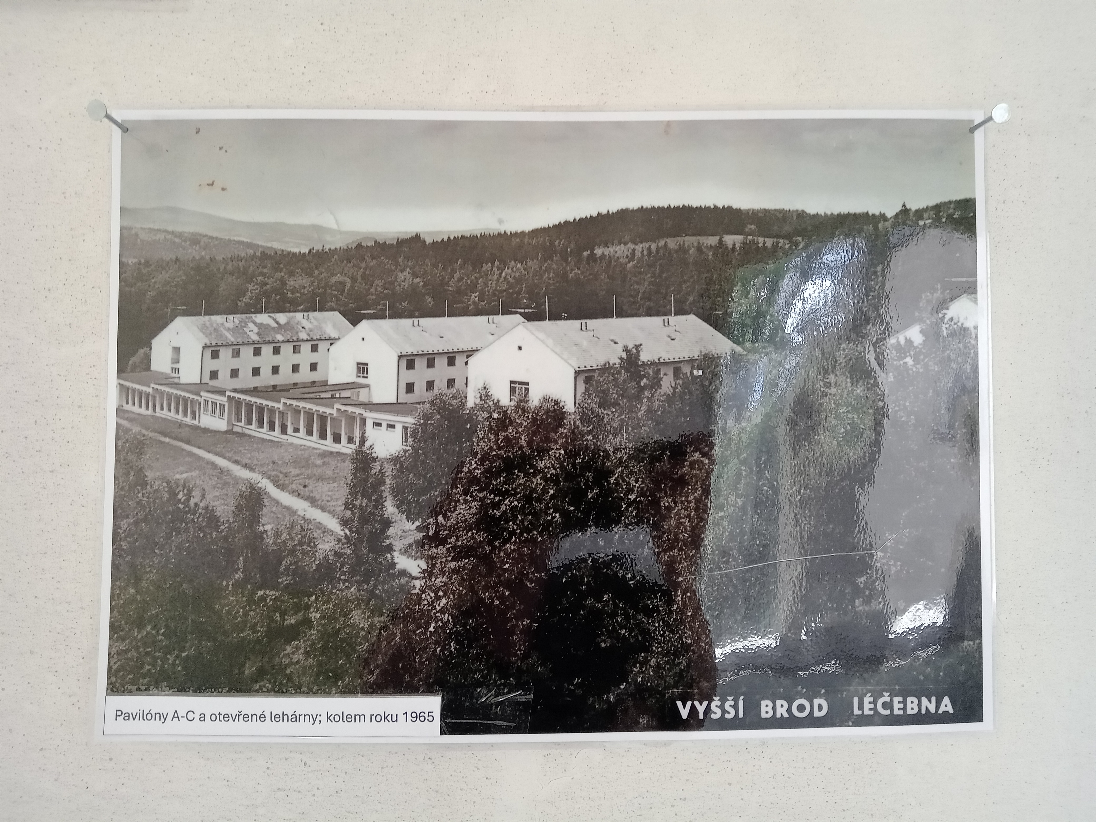 výstava (22)